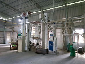 贤昌镇锌硒米加工厂 产业新引擎，铺就村民致富路